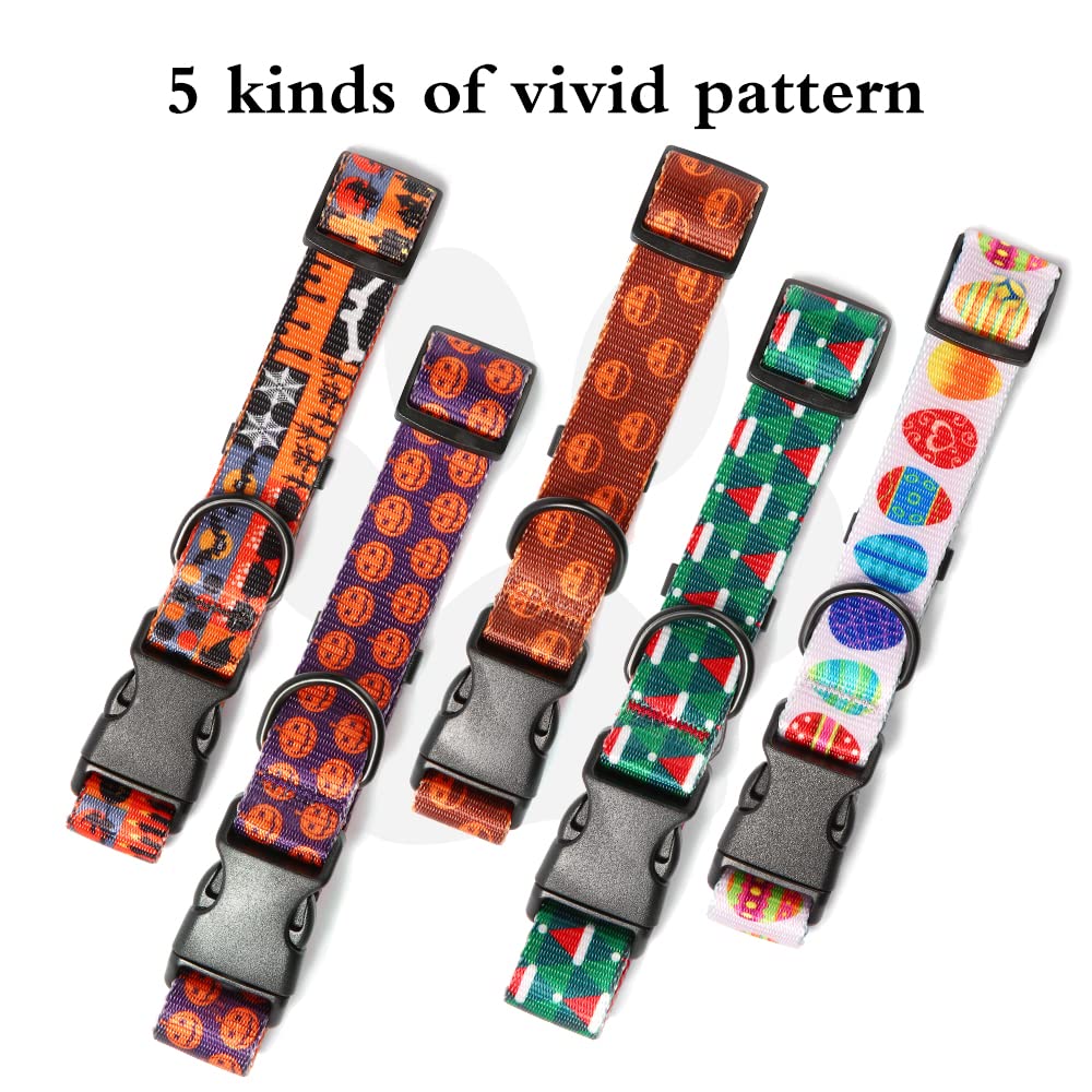 View 6