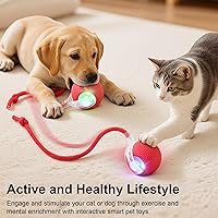 Vista 2 de Juguete interactivo eléctrico automático rodante USB recargable autoactivado para estimulación de juego con cola rápida en forma de cuerda para Rosa