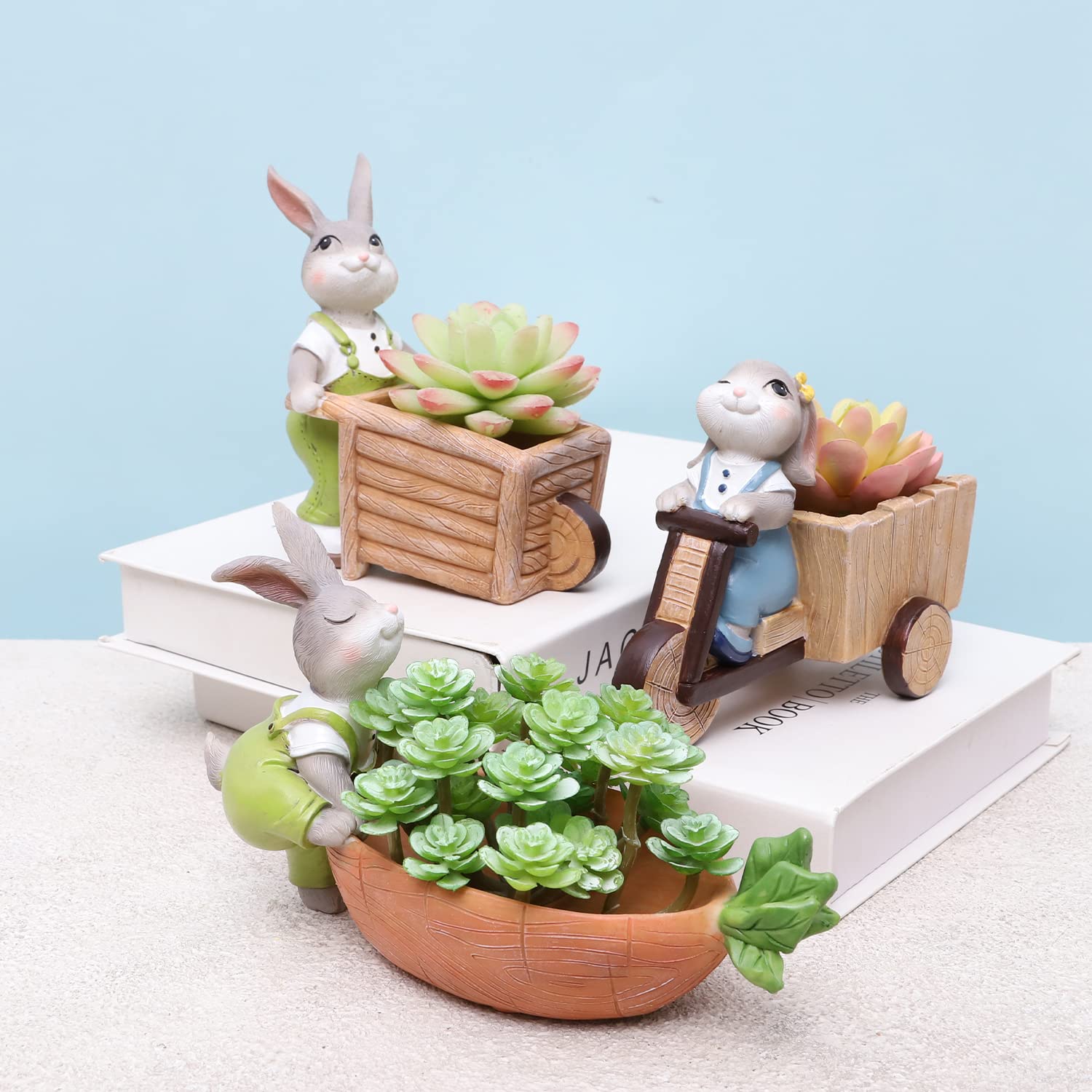 Amazon.co.jp: 植木鉢 鉢植え かわいい プランター 園芸鉢 多肉