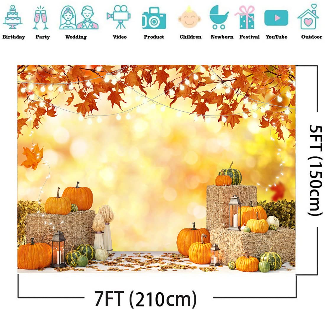 MEHOFOND Toile De Fond En Forme De Citrouille D'automne Pour Fête
