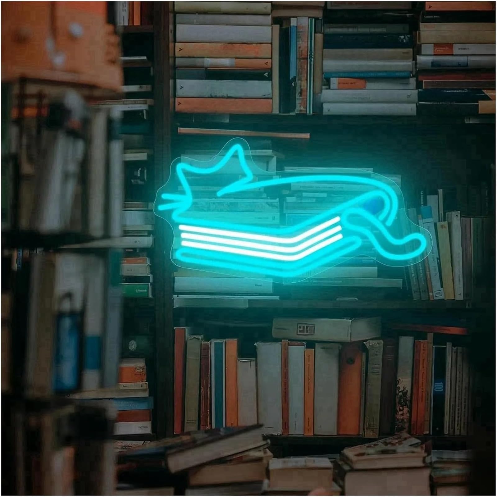 Enseigne lumineuse au néon représentant un chat, idéale pour décorer une bibliothèque ou chambre à coucher, 23,5 x 42 cm