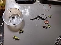 Review Image by Awful Awful