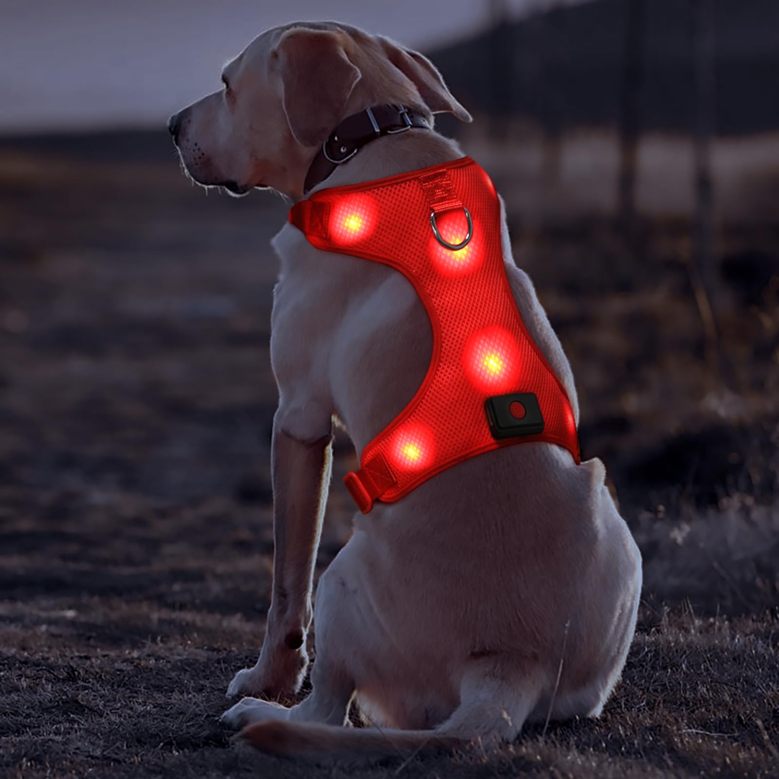 Domi Arnés de perro LED recargable por USB, arnés para mascotas con luz cómoda, chaleco de seguridad para perros medianos, color rojo