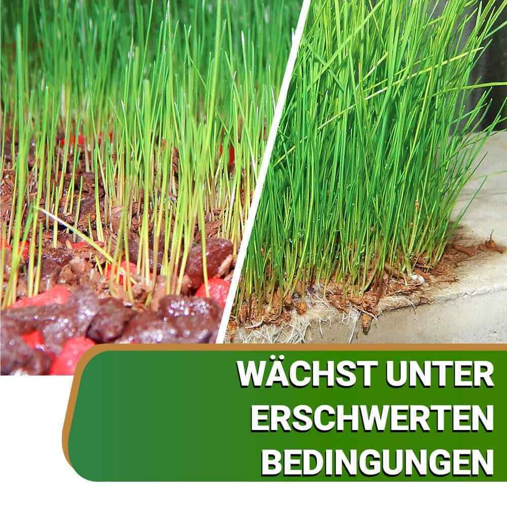 ummantelte Rasenpellets Regenerationsrasen für Schnellkeimenden – Rasensamen für Robusten und Widerstandsfähigen Rasen Plus (10 kg)