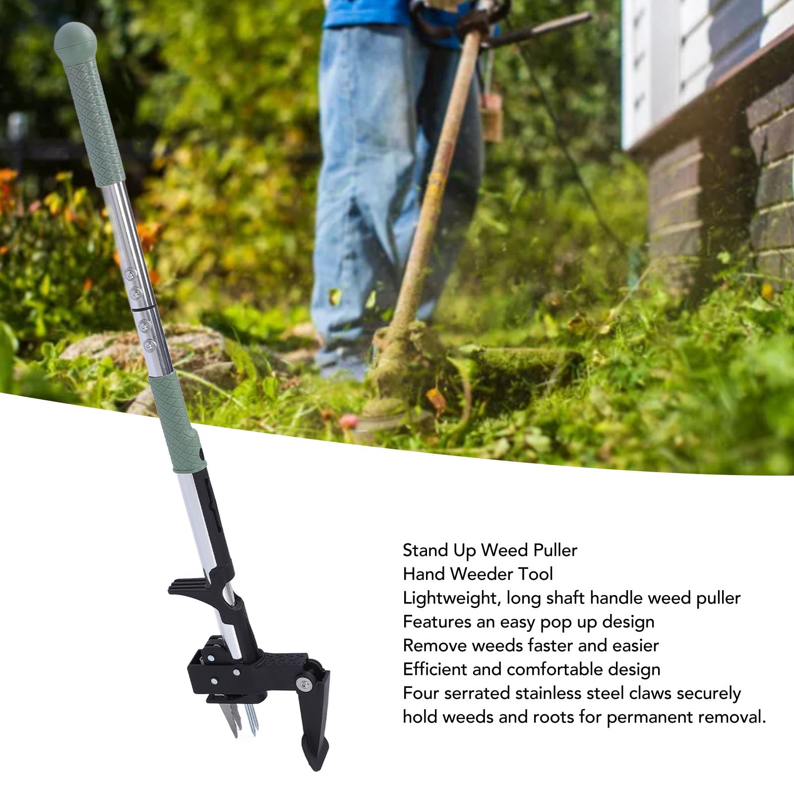 Stand-Up-Unkrautzieher mit 4 Backen, Unkrautstecher aus Edelstahl mit Langem Griff, Abnehmbares Design, 4 Gezackte Krallen für das Jäten von Unkraut Im Rasen, Garten, Terrasse und Hof