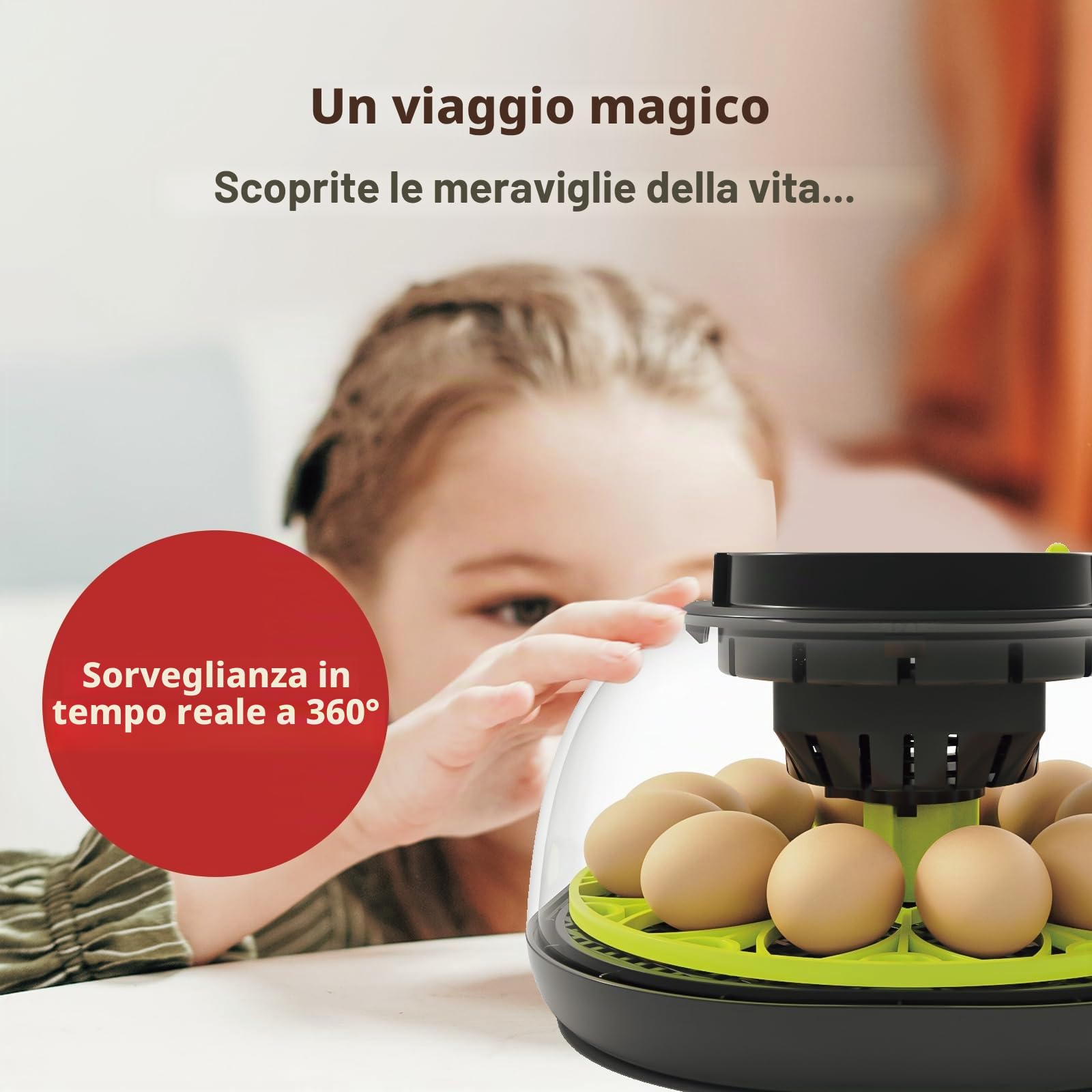 Incubatrice Automatica per 12 Uova con Umidità, Alimentazione Acqua, Rotazione Automatica delle Uova e Controllo della Temperatura per Polli, Quaglie, Anatre e Uova di Pollame.