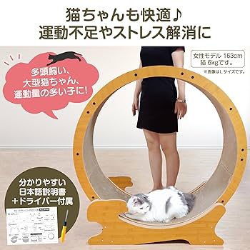 専用コンゲススロイド　猫ちゃんデニム　4yサイズのみ　新品未使用 Amazon | ペットプロ HappyDays キャットランニングマシン L
