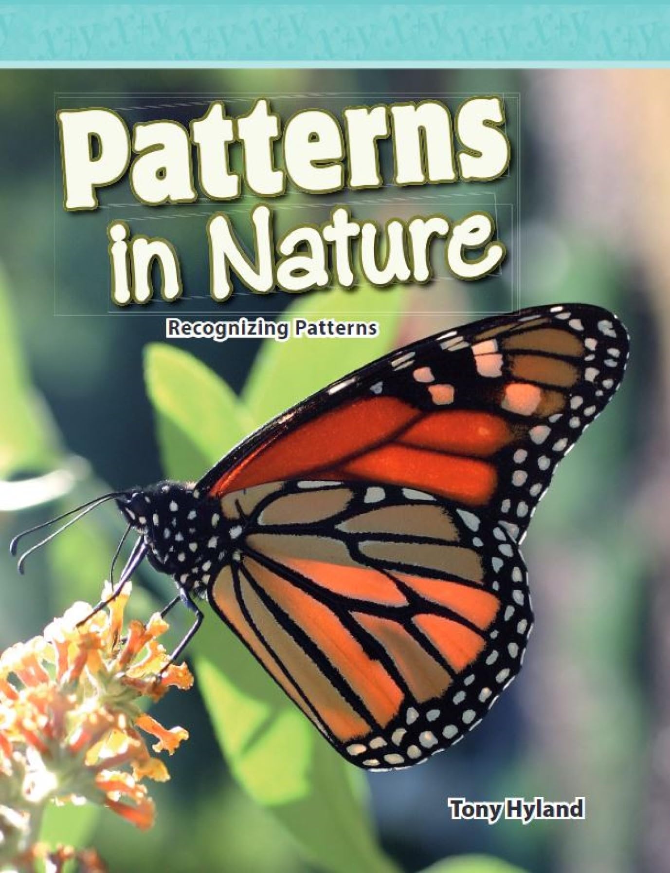 Patterns in Nature: Level 4 (Mathematics Readers)