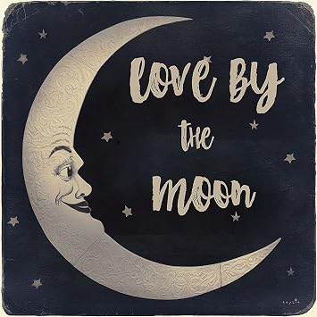 ArtExpert Love By The Moon by Sophie 6-16x16 Art Print Poster