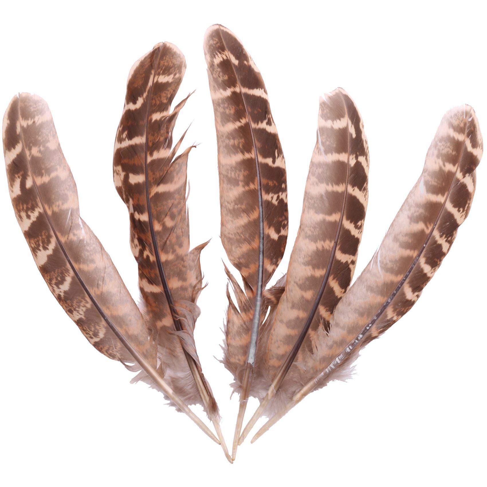 LilyJudy 50Pcs Plumes D'Aile De Faisan De Poule Pour La