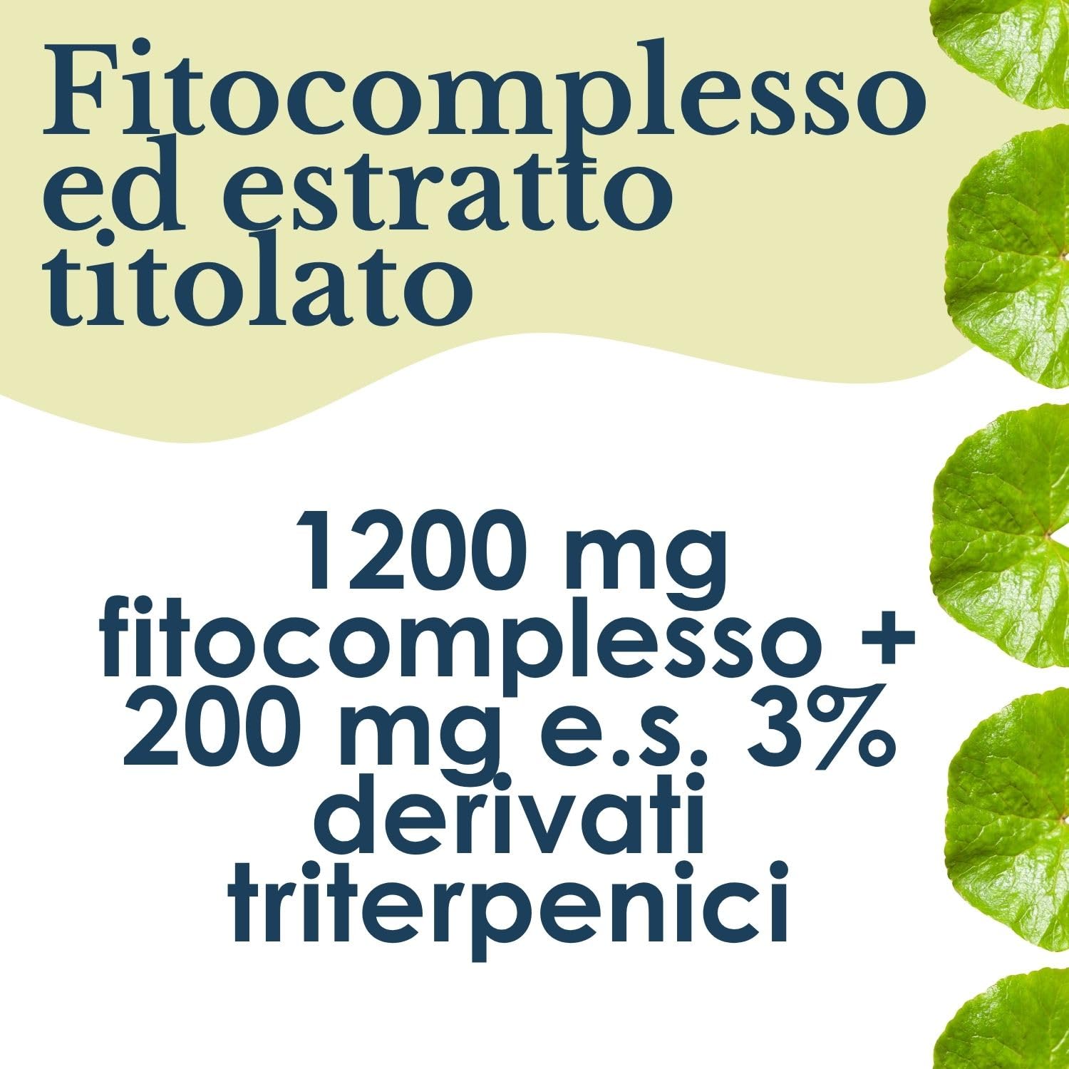 ERBEX - Centella Asiatica 100 Capsule – Doppia Formula Totum + Estratto Titolato | Microcircolo, Gambe Pesanti, Ritenzione Idrica e Cellulite | Integratore Drenante Naturale