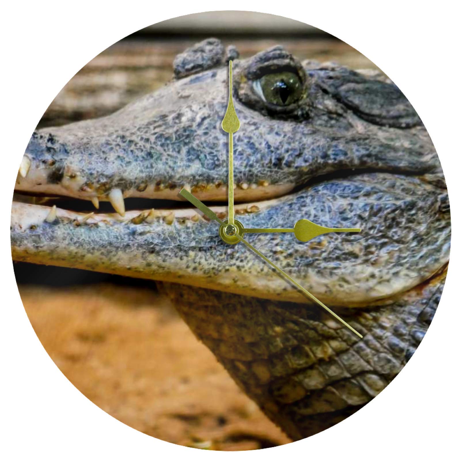 Horloge murale crocodile 25,4 cm silencieuse et design pour chambre d'enfant
