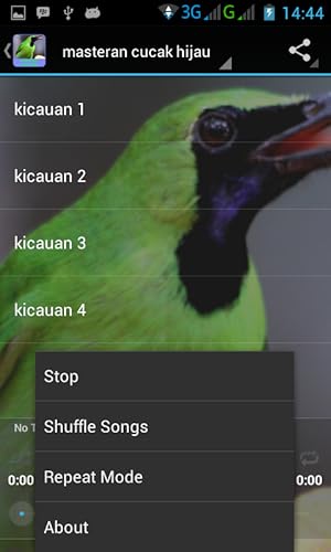 Chirping Bird Master verde Cucak
