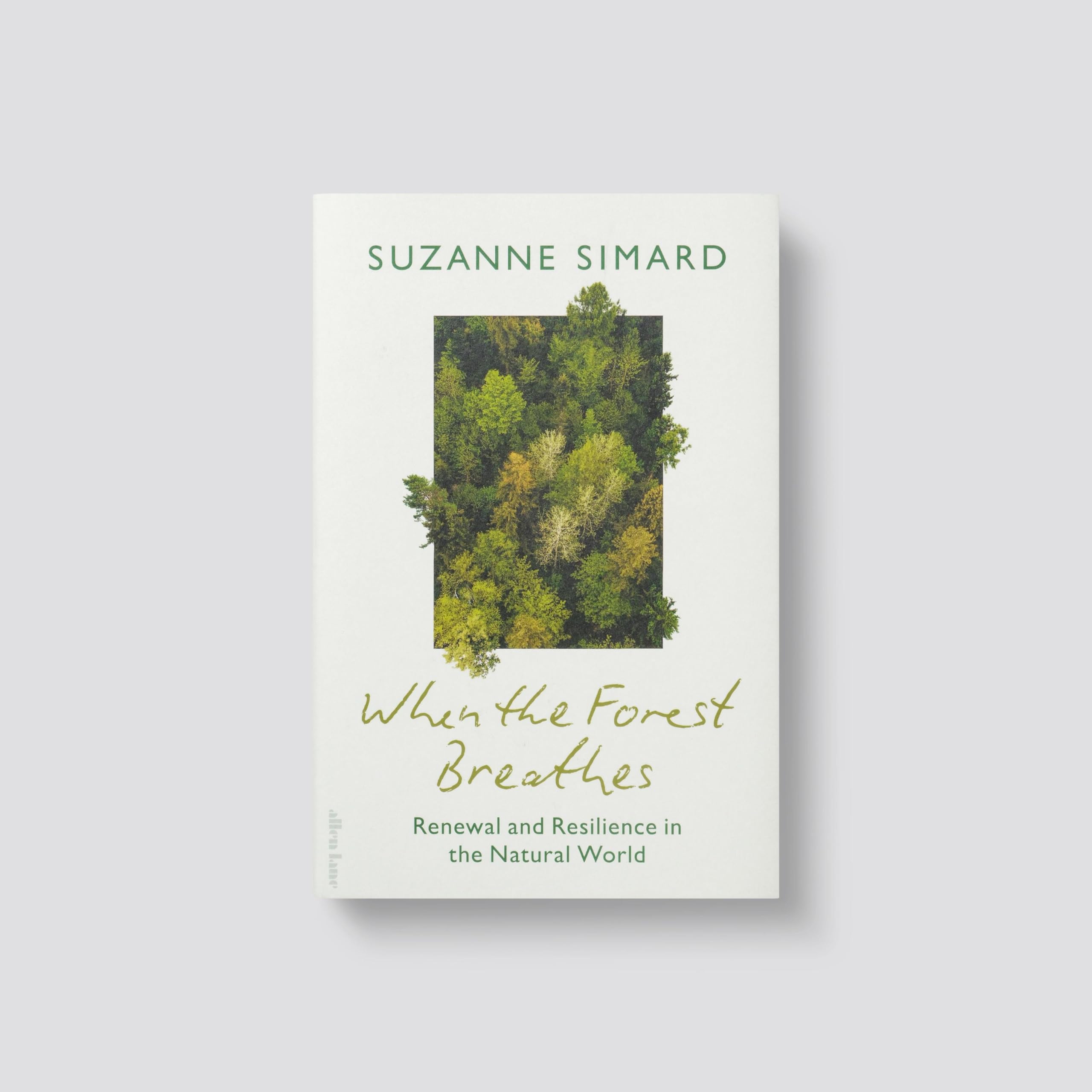 When the Forest Breathes: Renewal and Resilience in the Natural World