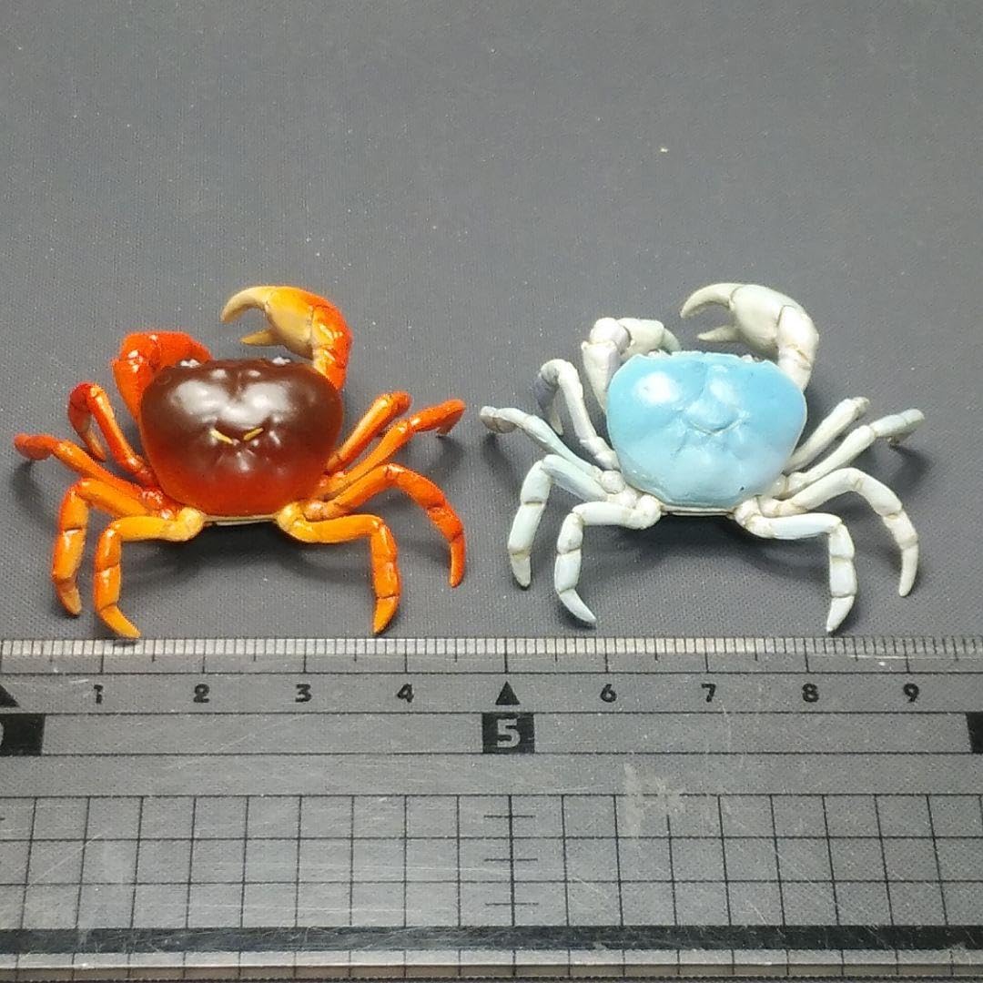 サワガニ様用 荷札 一穴 クラフト 中 2000枚入 | ササガワオンラインショップ