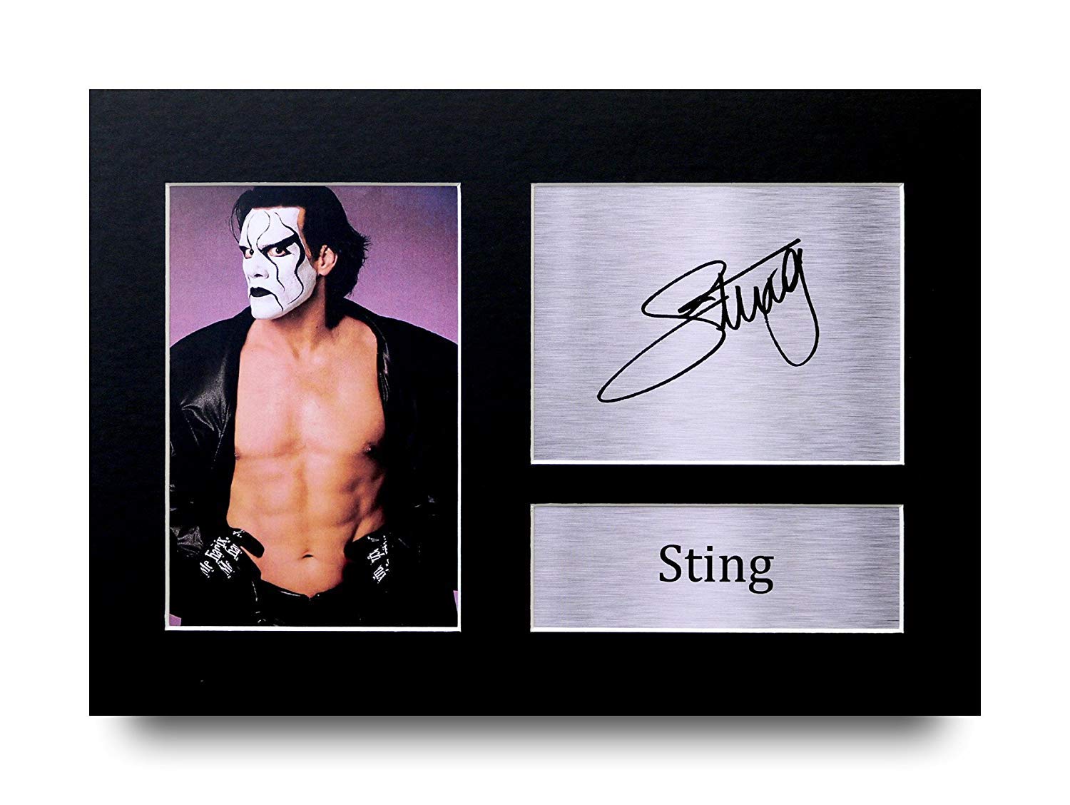 HWC TradingSting Gift Signed A4 Printed Autograph WWE Wrestling Gifts Print Photo Picture Display