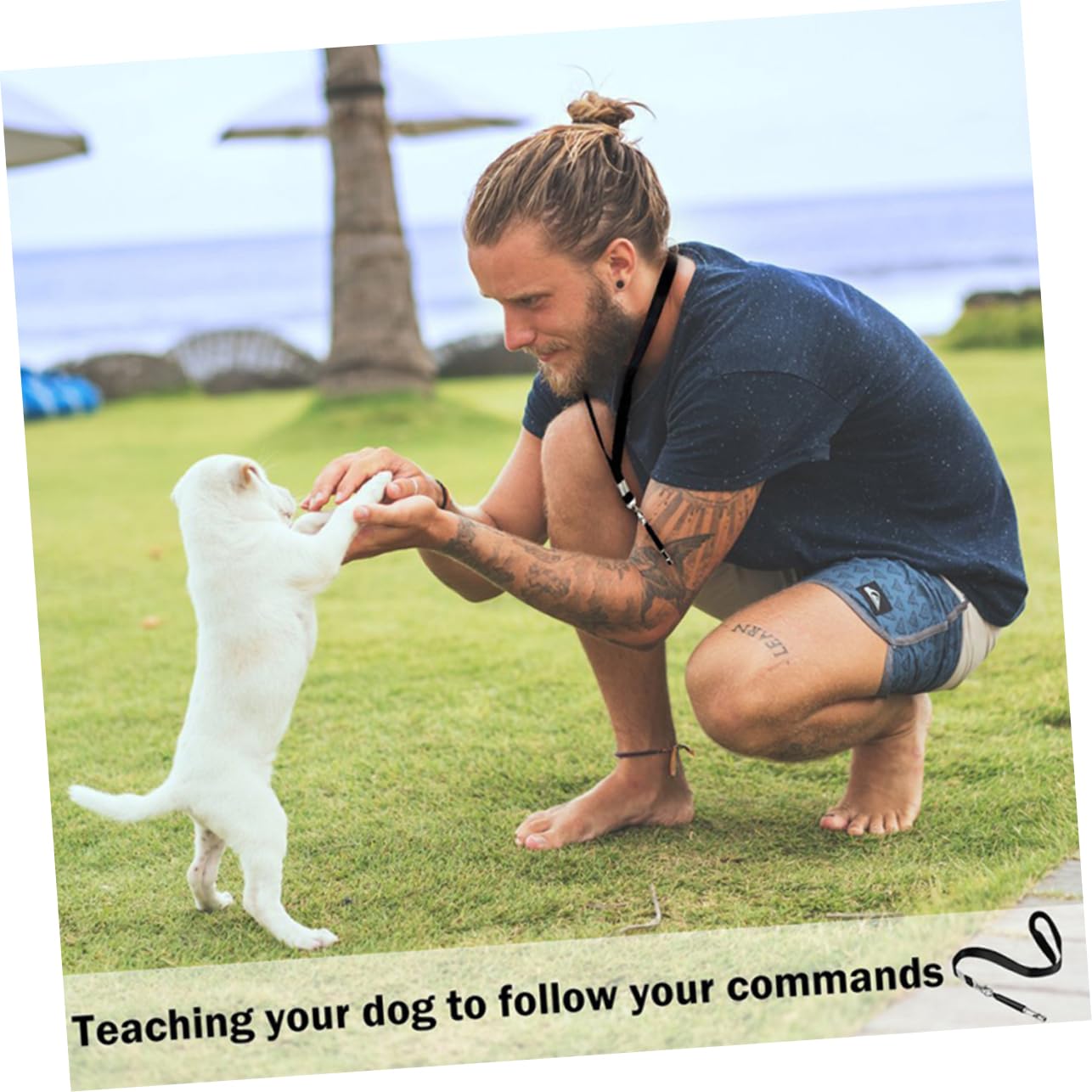 Levemolo Dog Bark Control Training Tool Pet Whistle with Lanyard Lightweight and Portable for Easy Carrying