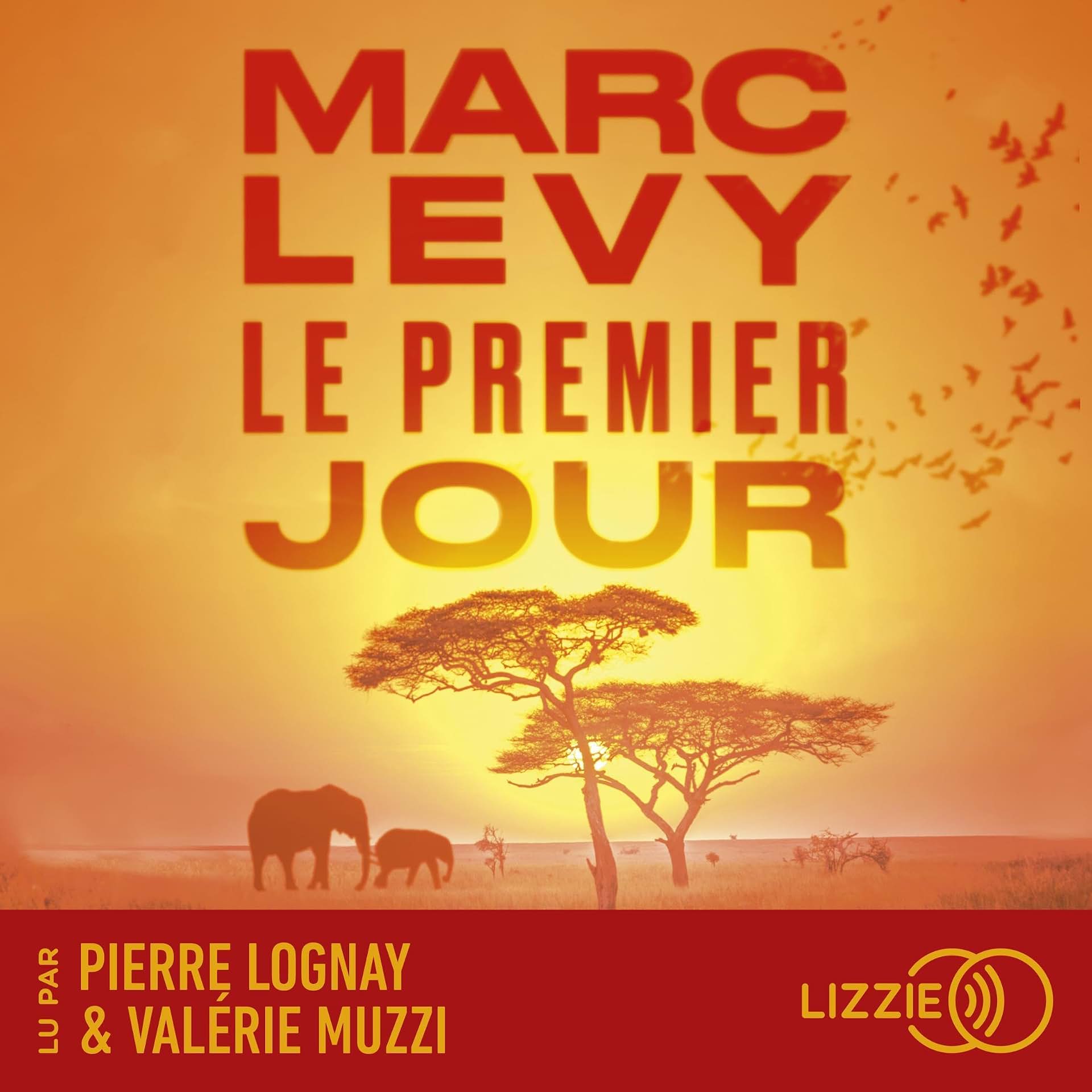 cover-image