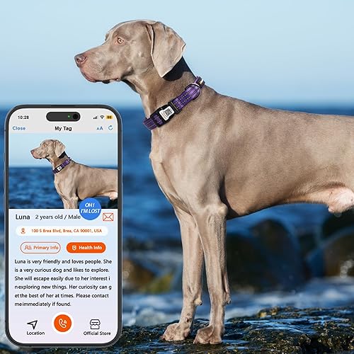 Miniatura 18 de Collar reflectante para perro con etiqueta de código QR, collar de perro personalizado, visibilidad nocturna de seguridad, función antipérdida Negro