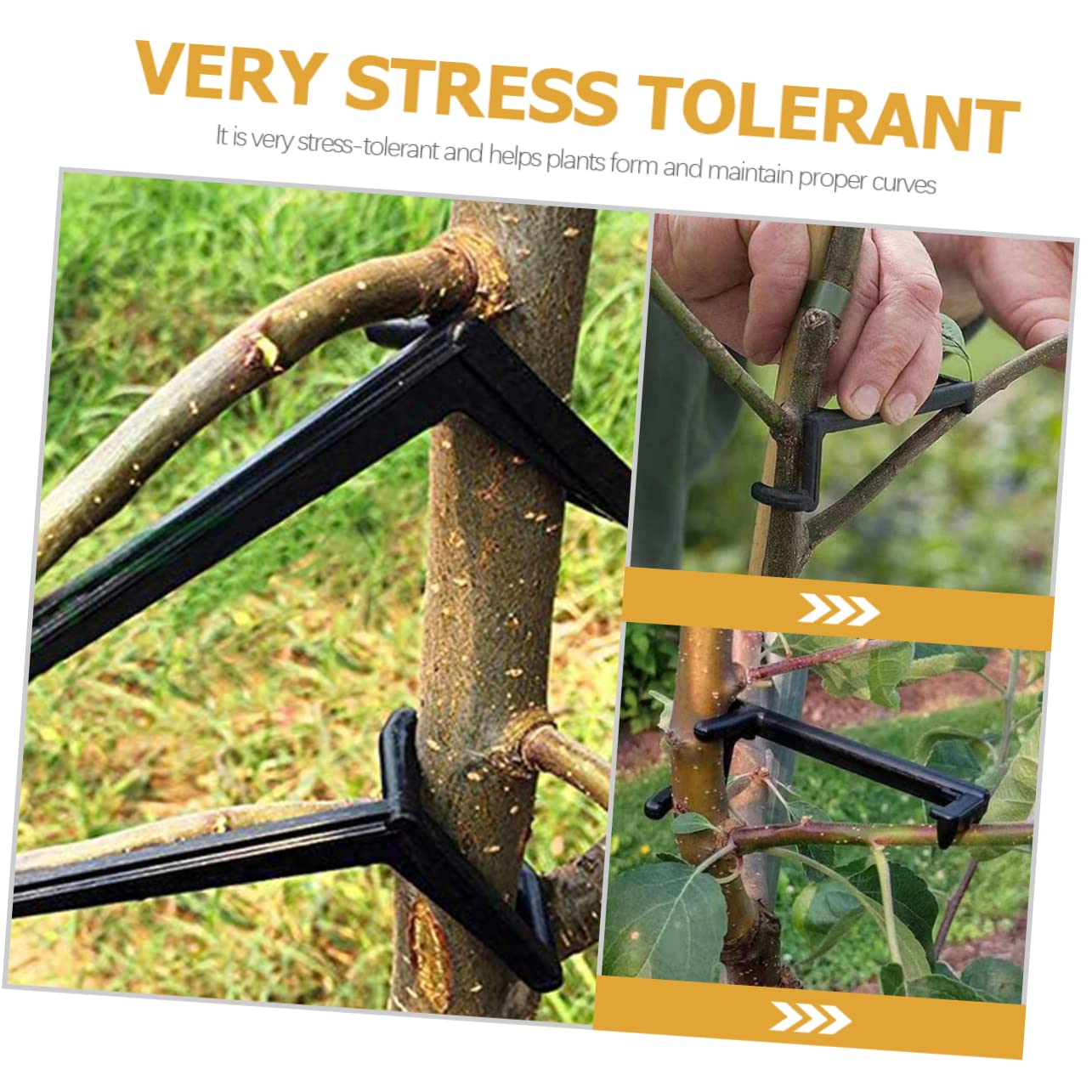 BESPORTBLE 50pièces Outils De Modélisation De Branches pour Plantes Écarteurs Réglables PE Accessoire De Jardin pour Contrôle De Croissance Forme des Plantes