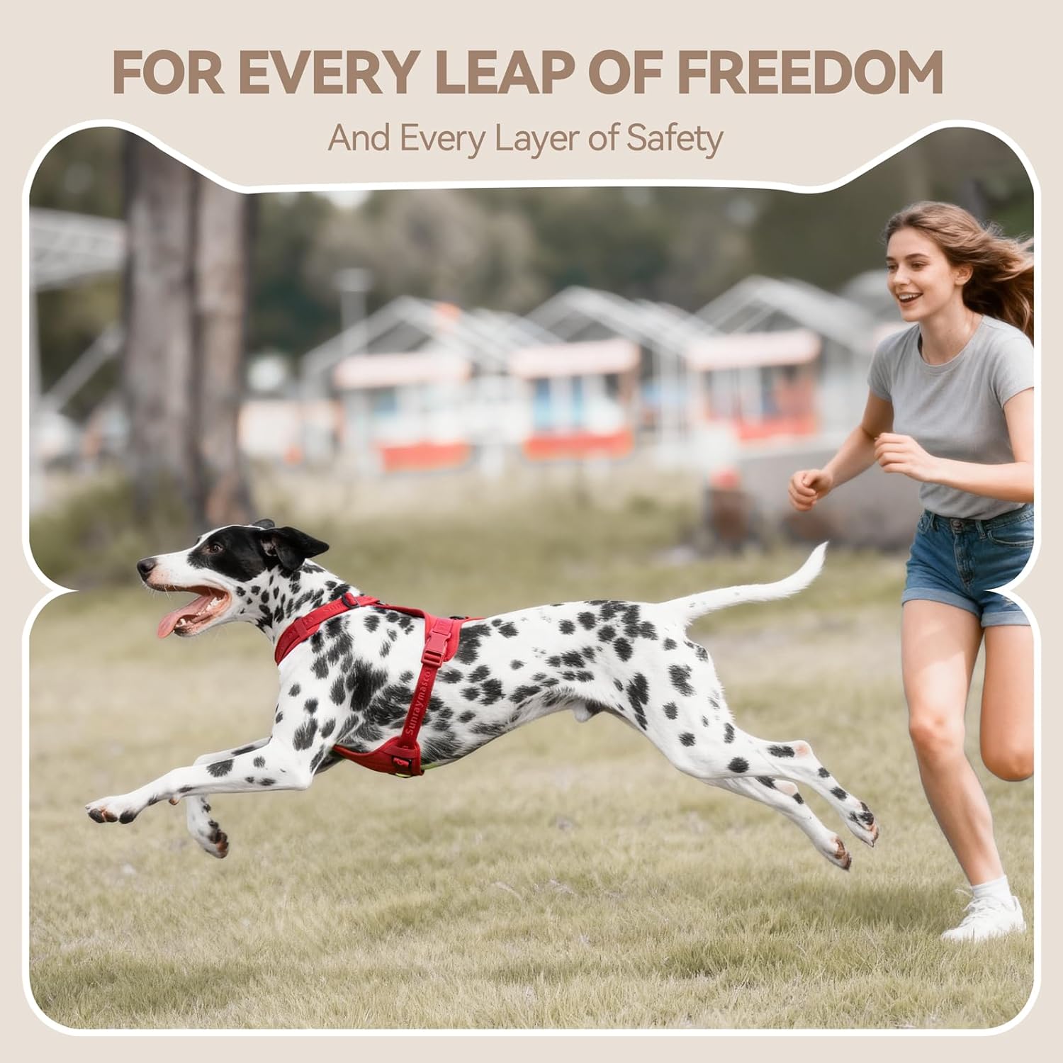 No Pull Dog Harness with Lycra, Three-Point Force Dispersion & 3D Padding, Adjustable Breathable Mesh for Small Medium Large Dogs(Burgundy Red,XS)