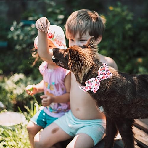 Miniatura 4 de Lionheart glory Collar para perro con pajarita, collar de perro de melocotón rosa, suave, duradero, ajustable, lazos, collar de primavera, lazo para