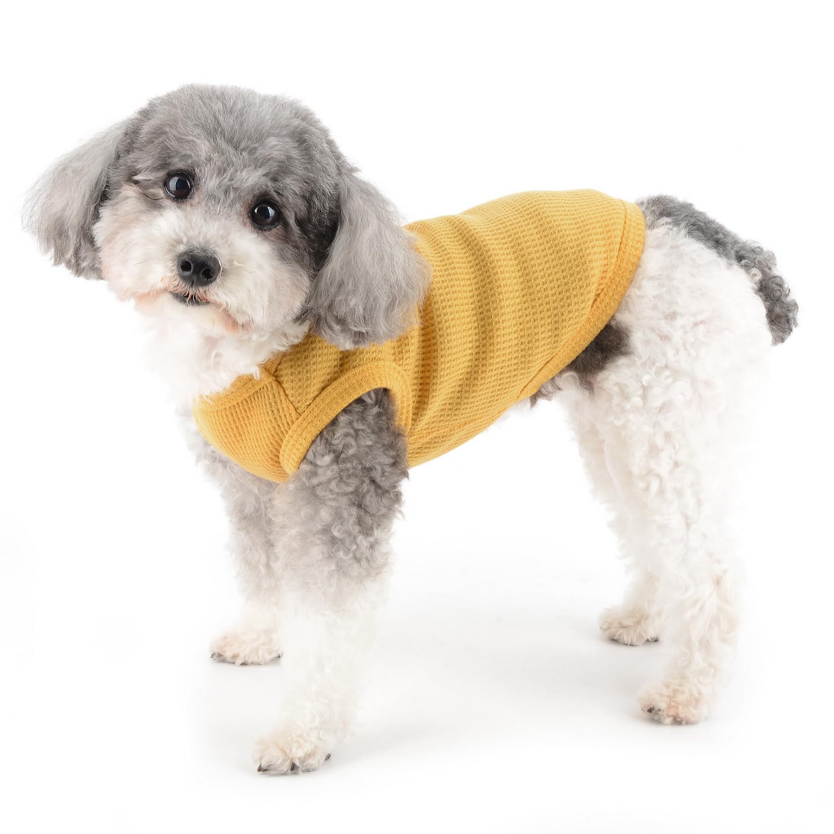Zunea Dog Shirts for Small Dogs Summer Vest T-Shirt Soft Breathable Puppy Clothes Basic Tee Shirt Pet Sleeveless Tank Top Chihuahua Yorkie Cat Sweatshirt Apparel Yellow S - Image 2