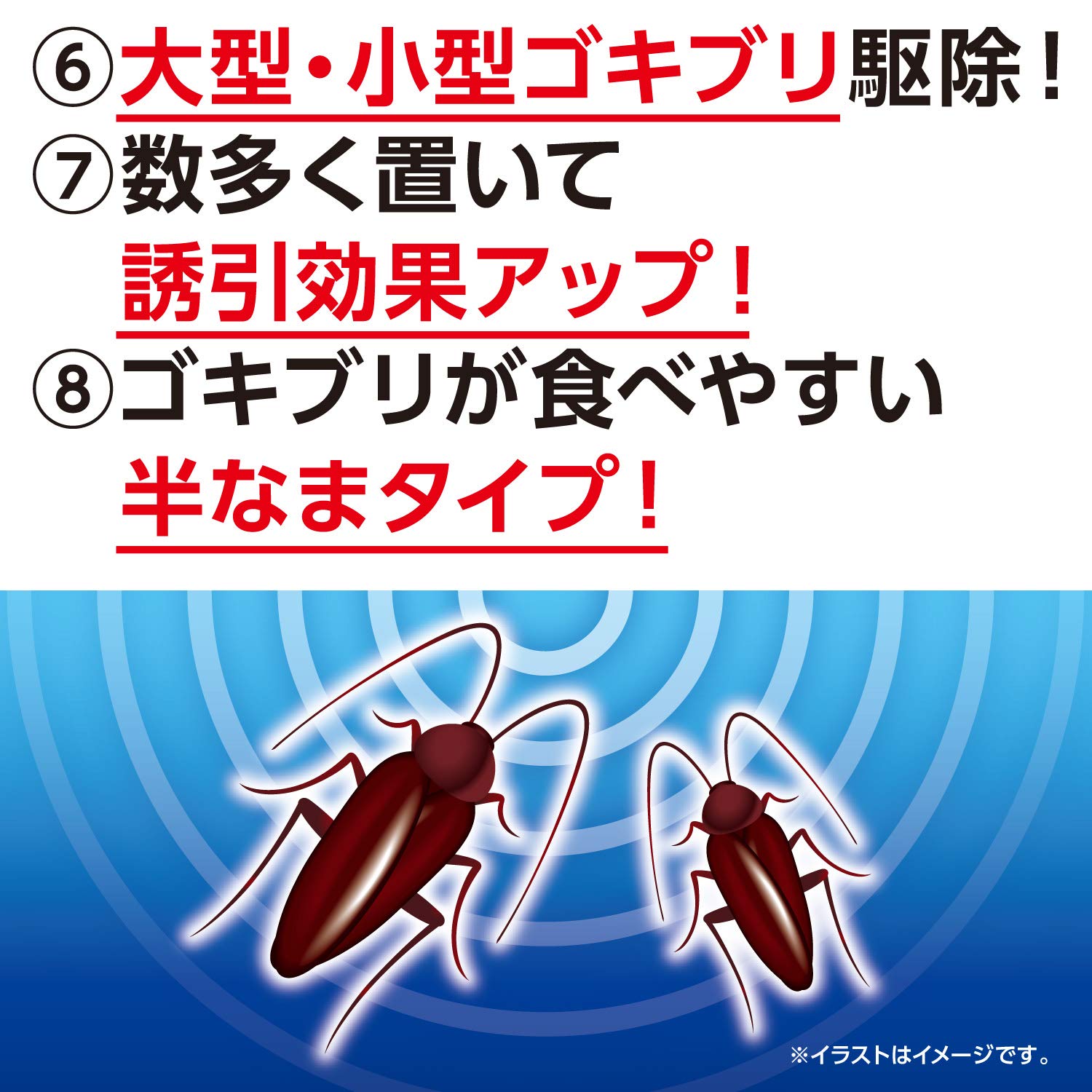 Amazon | 【Amazon.co.jp限定】 Exclusive Collection 