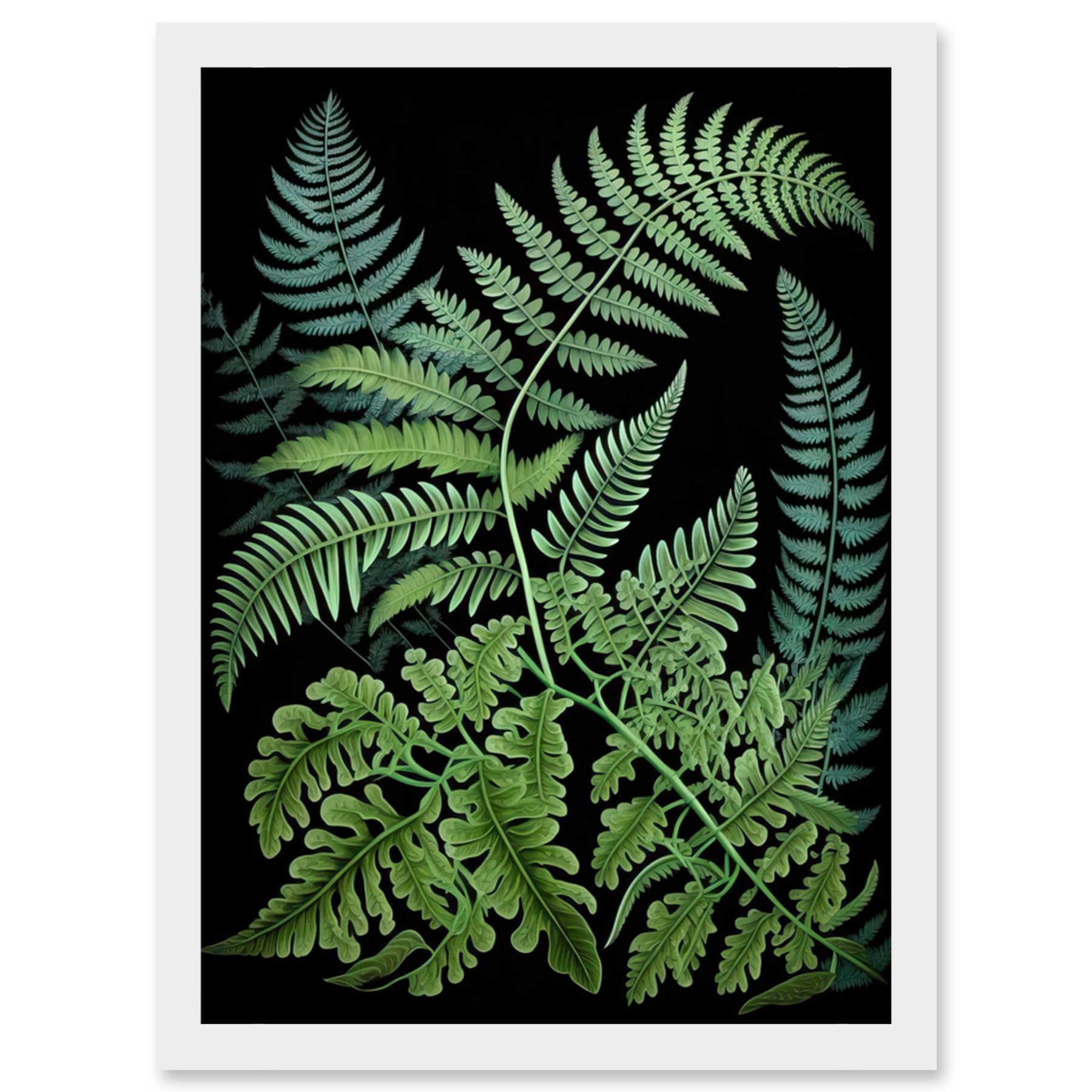 Framed Wall Art Print - Ernst Haeckel Style - Fern Fronds Dark Illustration - A4