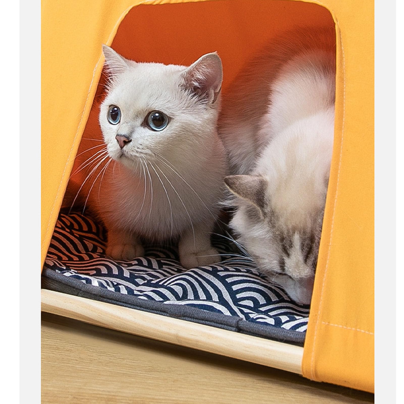 RIZGHWOY Letto per Tenda per Gatti, Cuccia Portatile Lavabile e Traspirante con Design Rimovibile per Uso Interno Ed Esterno per Tutte le Stagioni