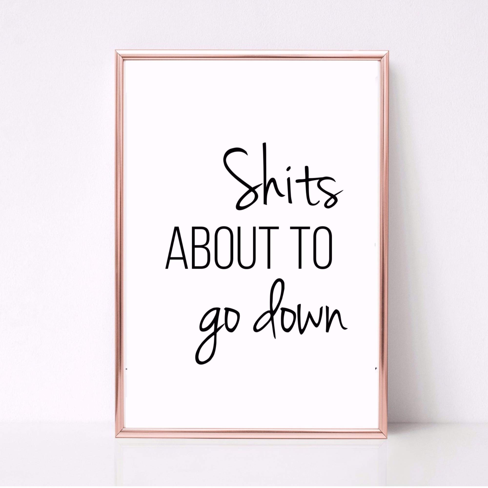 shits about to go down toilet BATHROOM PICTURE PRINT FUNNY WALL ART A4 UNFRAMED