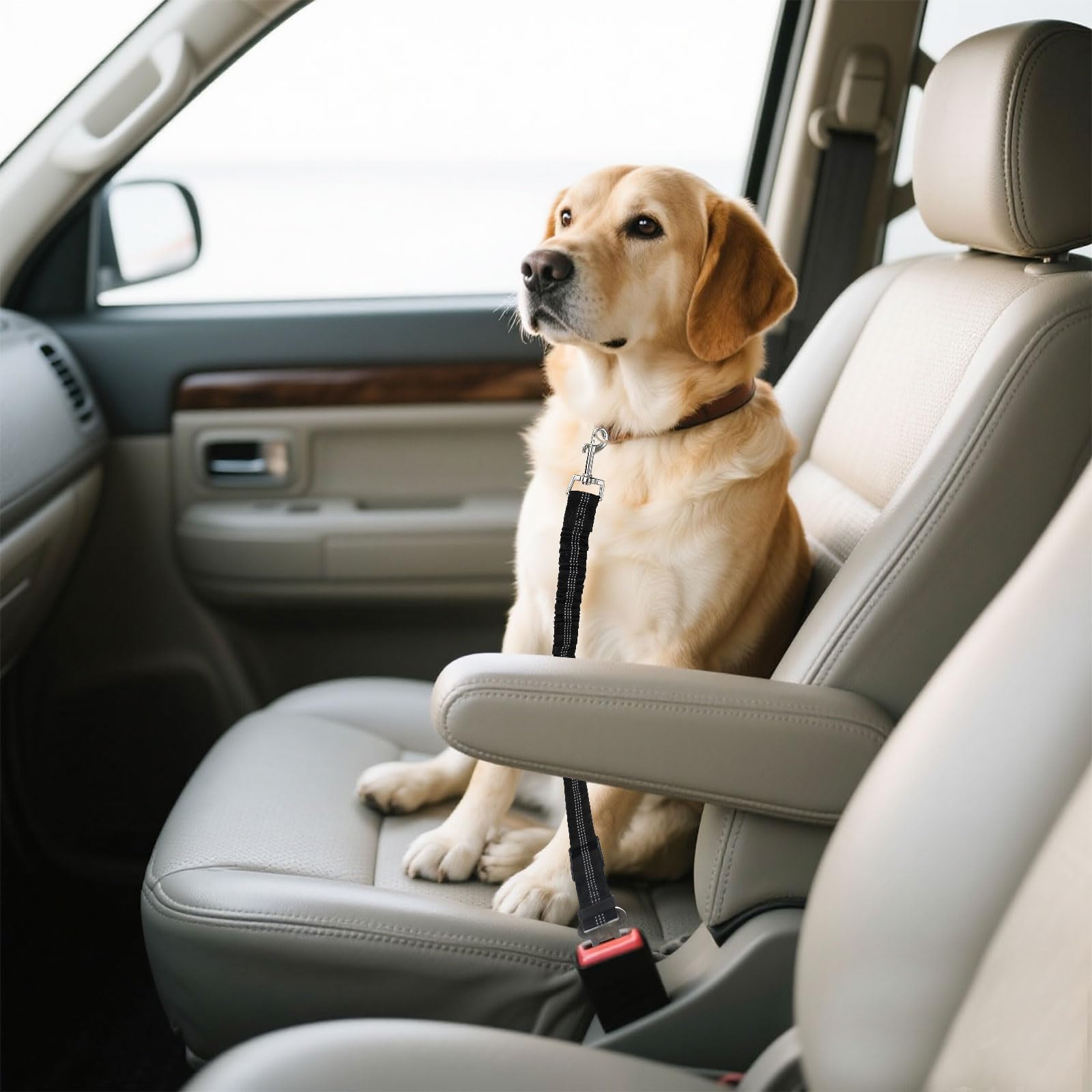 Dog Seat Belts for Cars, Anti-Shock Adjustable Elastic Nylon Bungee Buffer Dog Car Safety Harness, Safety Heavy Duty Elastic Dog Seatbelt Tether for Small Medium Large Dogs/Cats(Black)