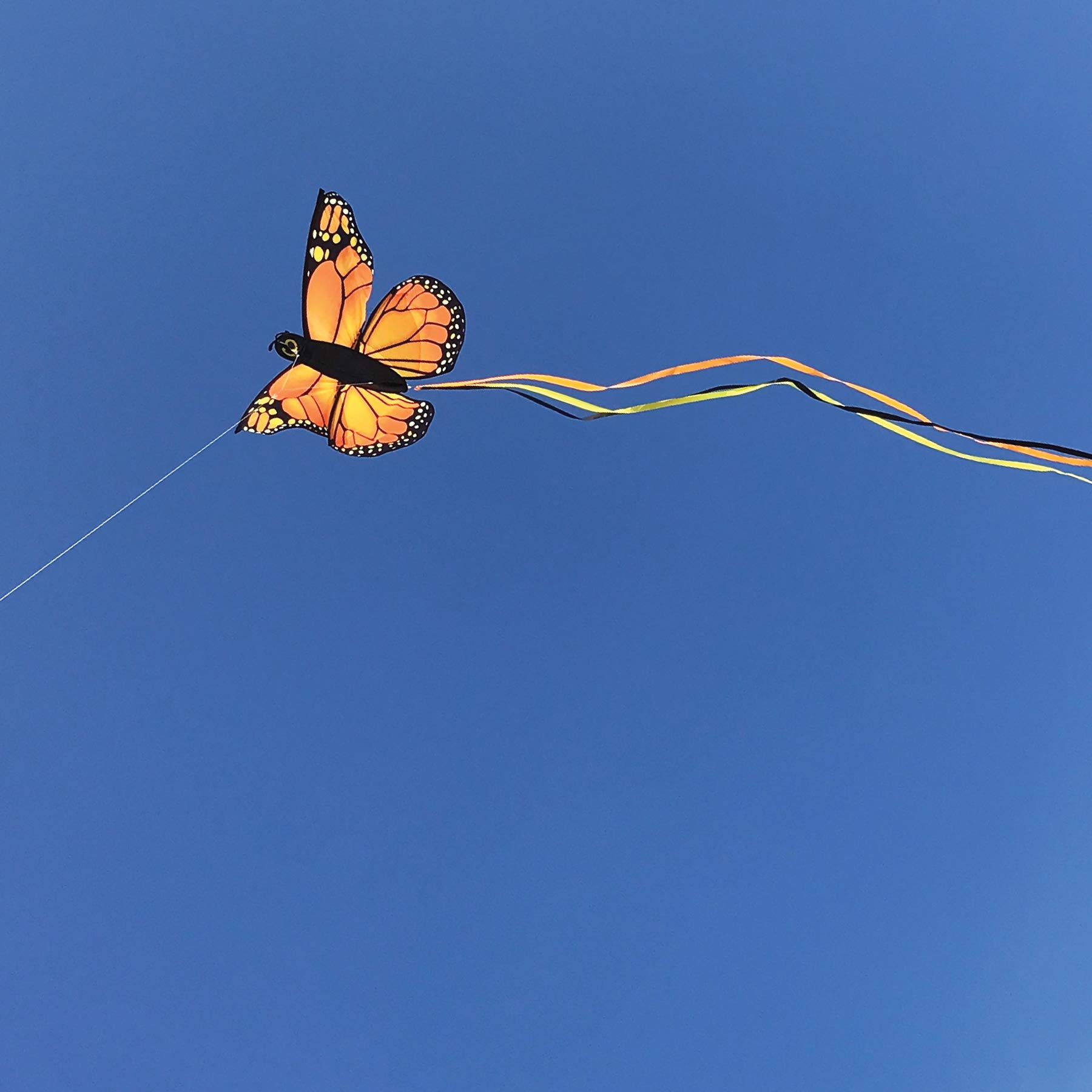 In the Breeze 3289-49.5