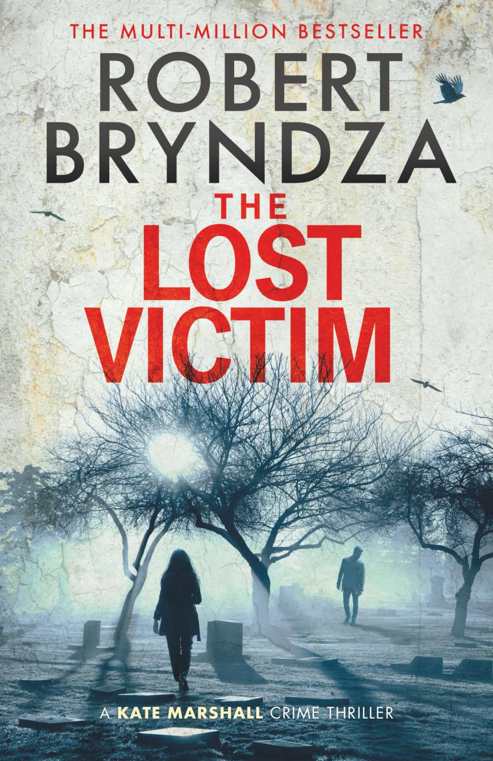 The Lost Victim: 5 (Private Detective Kate Marshall)
