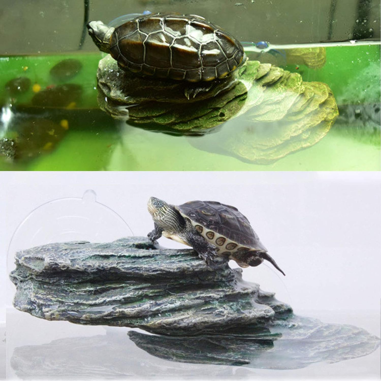 kathson Turtle Basking Platform,Tortoise Dock Floating Resting Terrace Rock