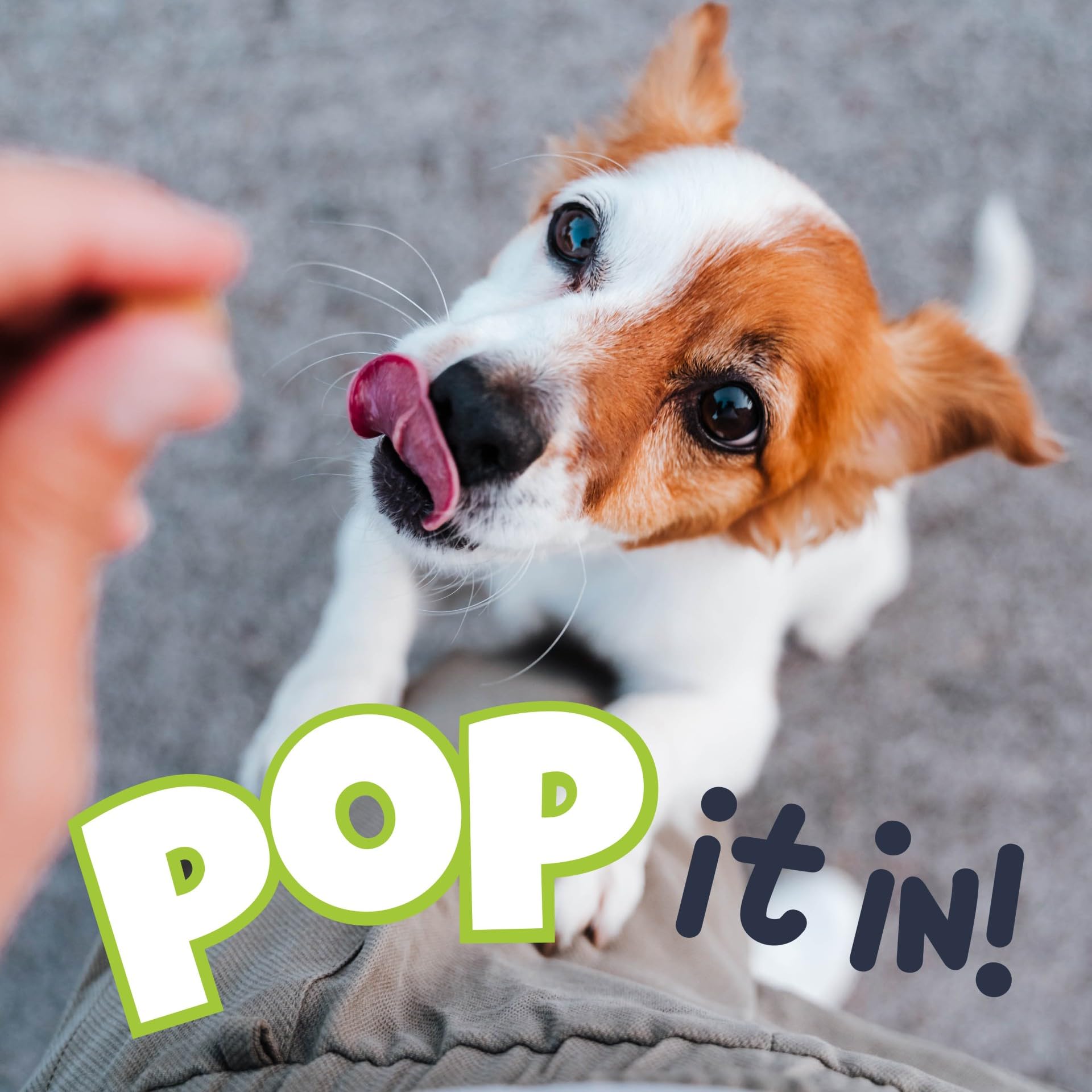 Fuzzl Puppy Pops - Variety Pack Natural Puppy Treats 6 x 100g - Soft Baked Grain Free Chews - Training Treat High Reward - Image 2