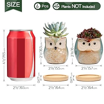 ◉本日限定◉フェルステンベルグ　ミニボウル　6個　ローズ ◉本日限定◉フェルステンベルグ ミニボウル 6個 ローズ ◉本日