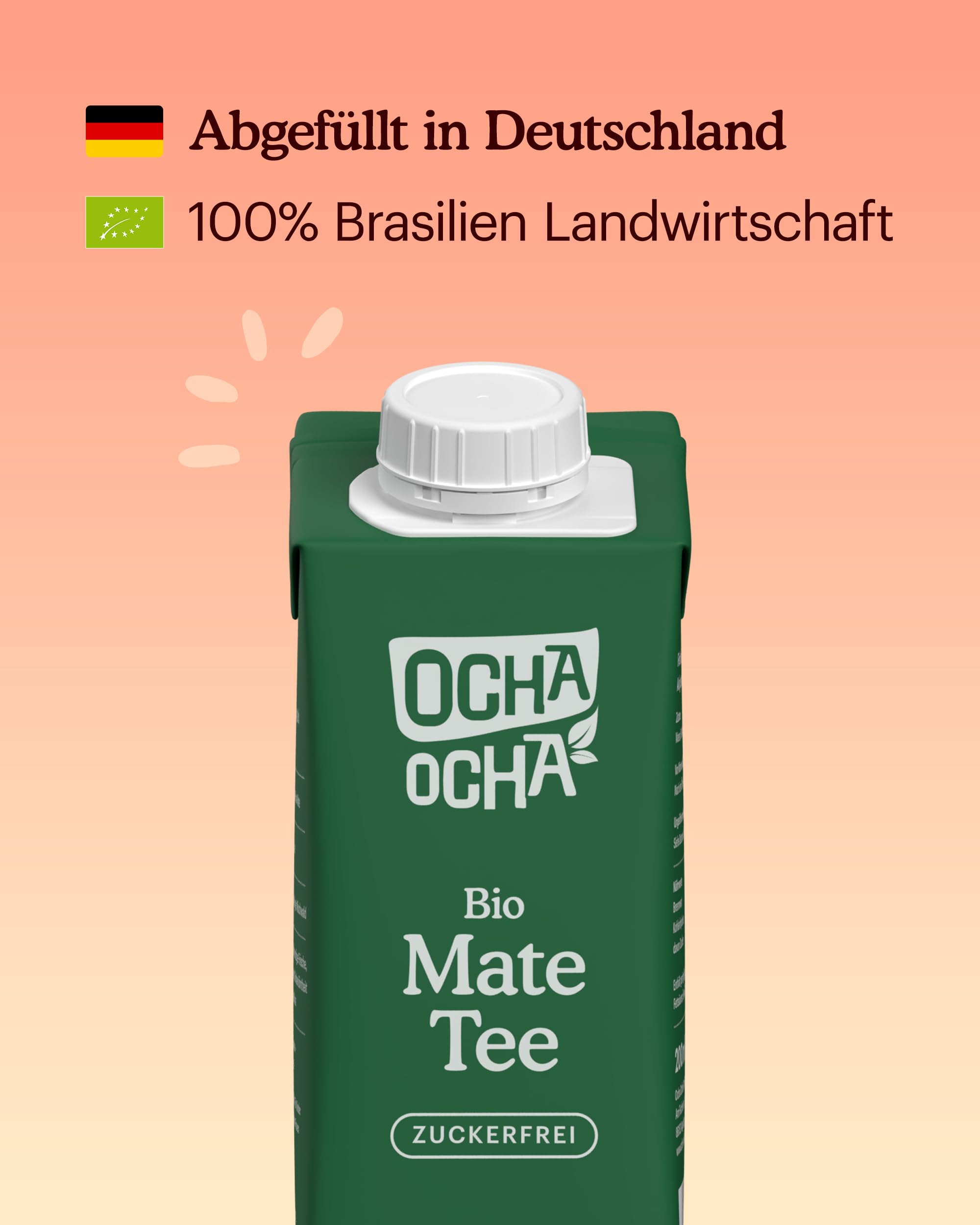 Mate Tee Bio - To Go Trinkfertig & Zuckerfrei - 24x200ml - Blumiger Geschmack der Erva Mate - Zero Kalorien - 100% Pur und Frisch Gebrüht - Fair - Koffeinhaltig