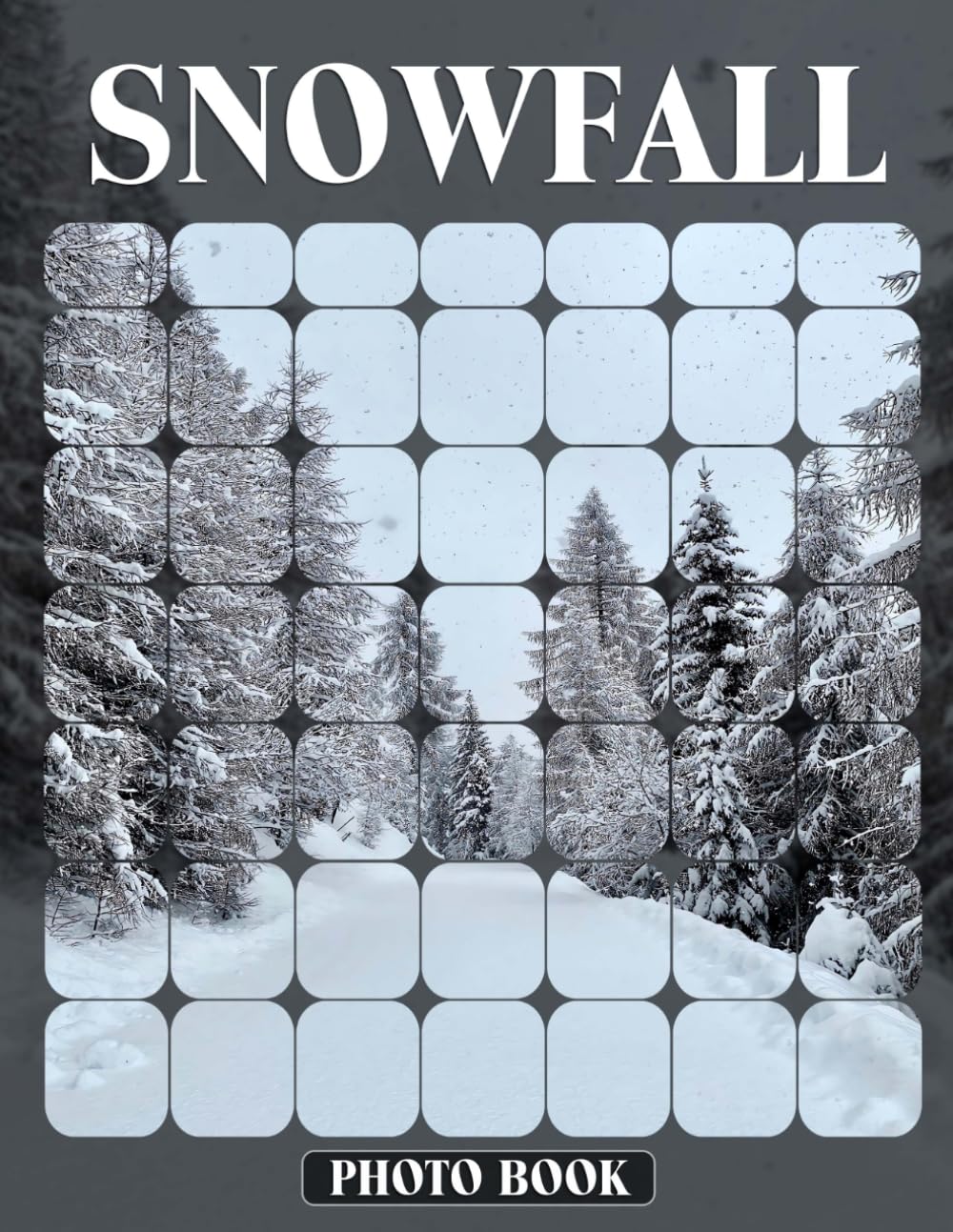 Snowfall Photo Book Winter Wonderland Photography Showcasing Magical Snowfall Scenes And Frosty Landscapes In Charming Frost-Covered Images
