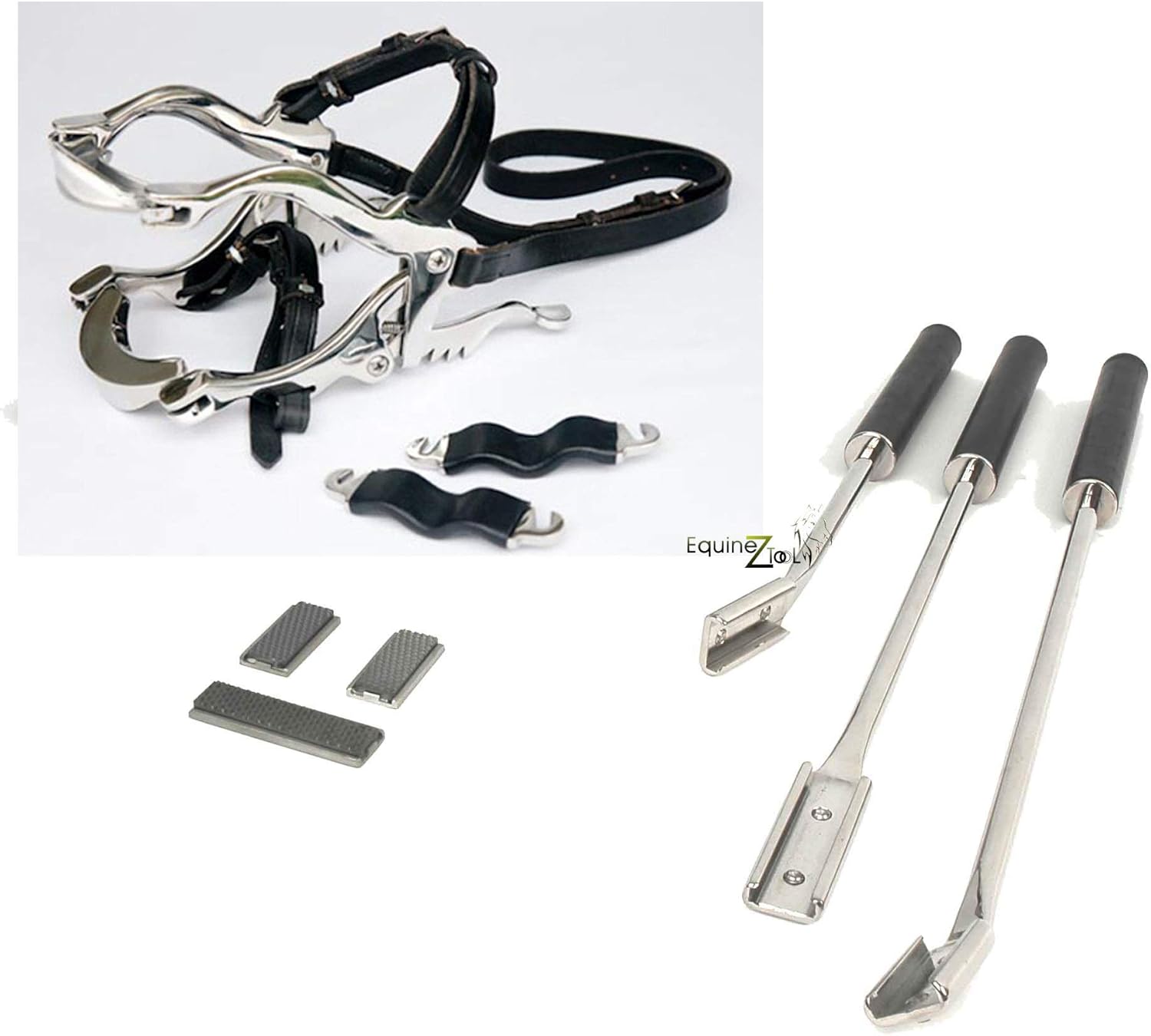 Equine Dental Kit Hau'sman Speculum and 3 Floats with