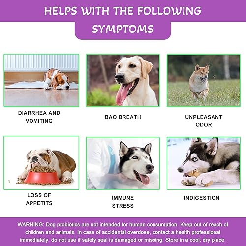 Miniatura 4 de Probióticos para perros, probióticos para perros y enzimas digestivas, salud y apoyo inmunológico. Alivia el estreñimiento, el mal aliento, la