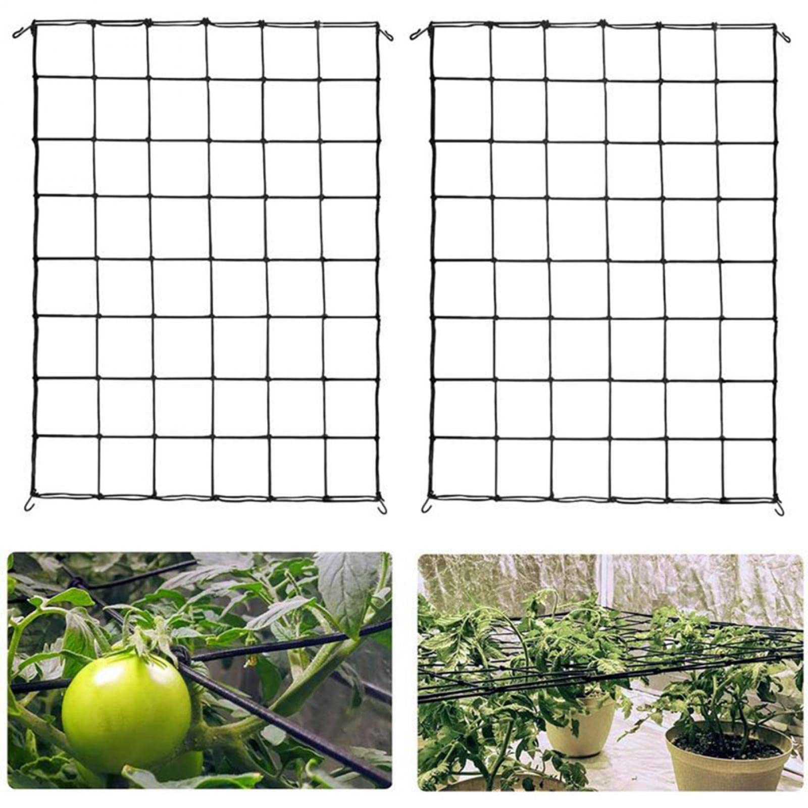Retei per Piante Rampicanti, Rete per Rampicanti, Rete da Giardino per Piante Rampicanti Cetrioli, Rete Fissa Rampicante di Sostegno per Piante, Ortaggi e Frutta (2m*3m