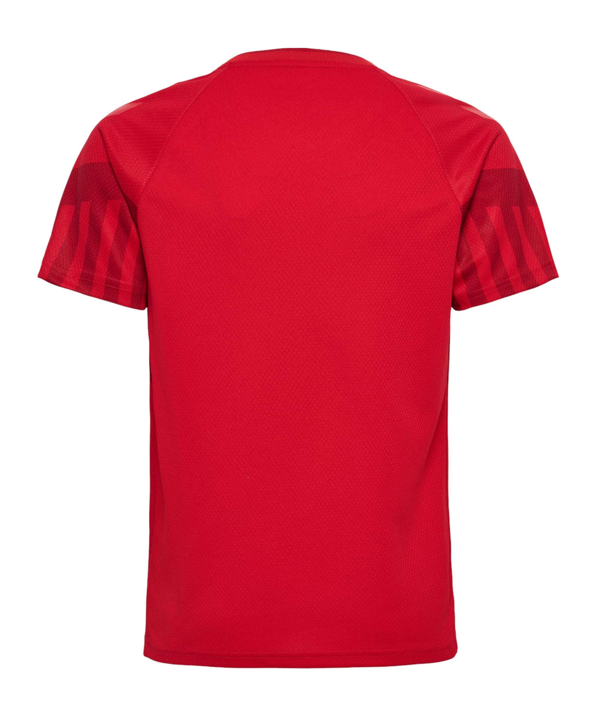hummel Dinamarca - Camiseta para niños, diseño de la Copa Mundial 202