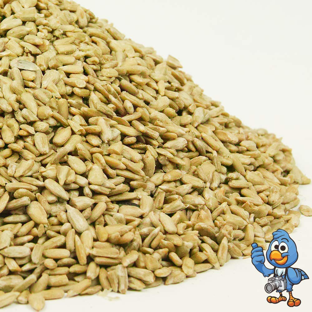 Beschäftigte Schnäbel Sonnenblumenkerne - Körner Vogelfutter Bäckereiqualität für Wildvögel (12.5kg)