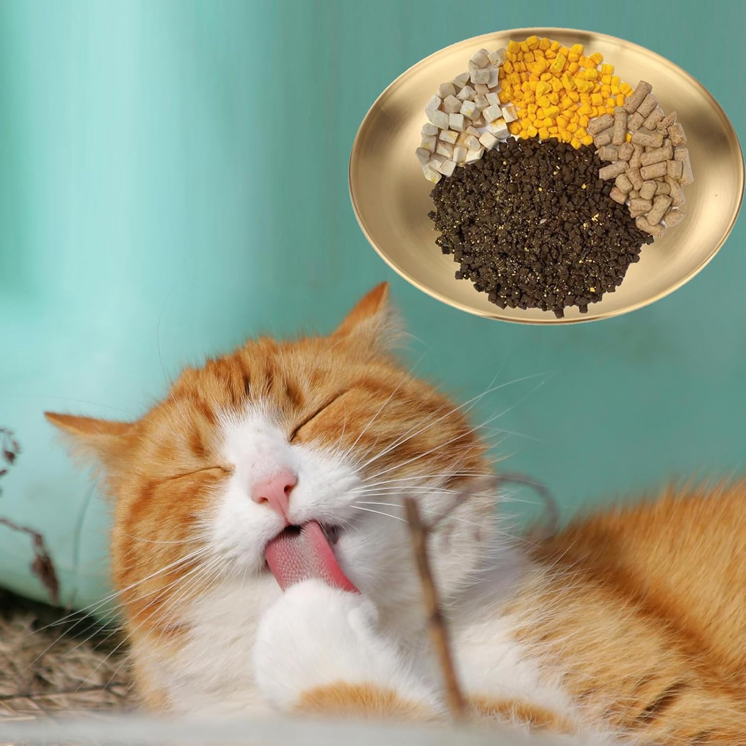 Whisker Fatigue Cat Bowl, 7.87 in Stainless Steel Gold Wide Saucer Style Flat Cat Dish, Suitable for Kittens Or Small Pets to Hold Food, Water Or Wet Food. (Gold - 8 Sets)