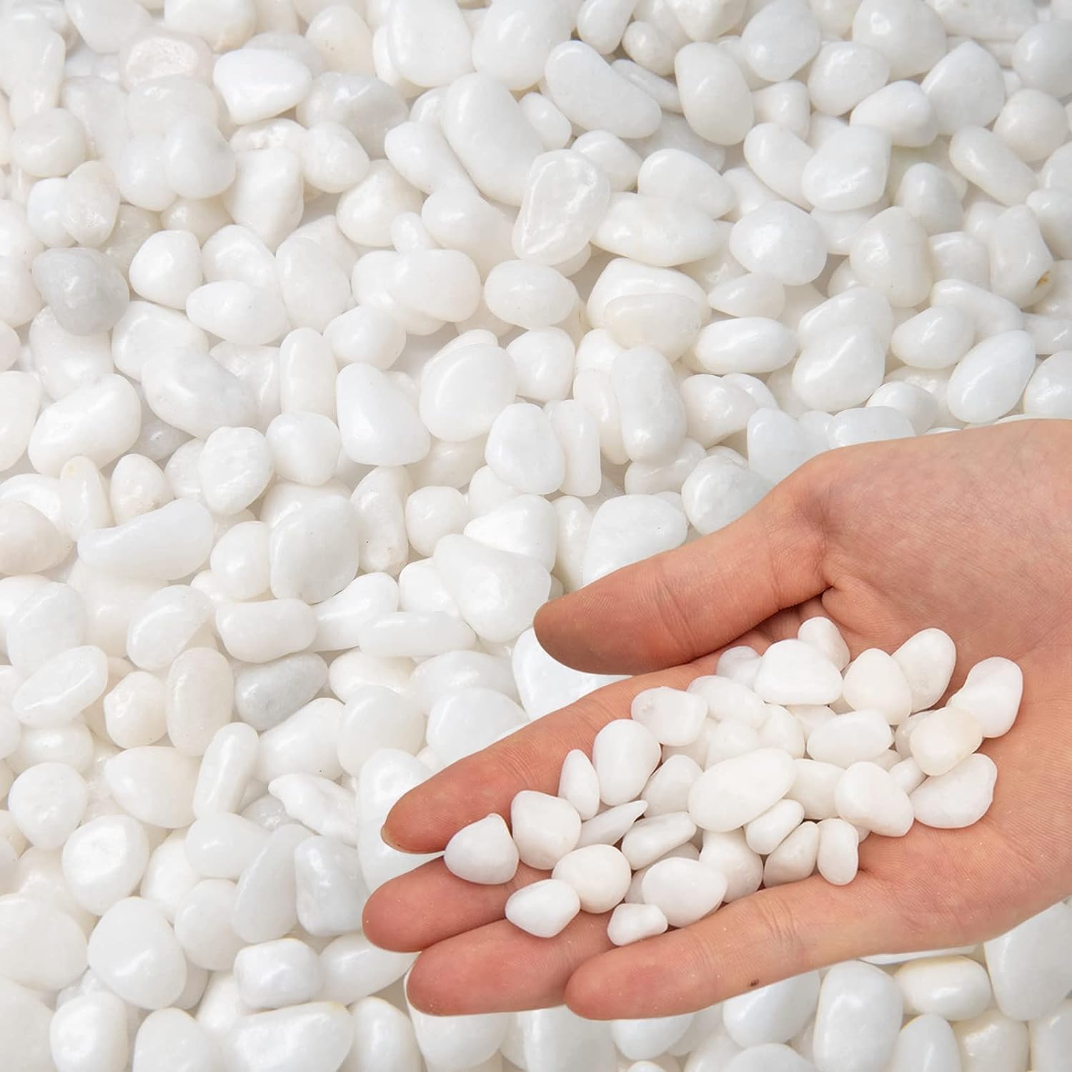 Aakriti Natural River Rocks Polished Medium Pebbles for Plants Garden Decorative Stones, Ideal for Fish Tank, Vases, Succulents, Crafting, Home Decor and Garden Landscaping, White (900Gm) (B0CH4Q7R2K) Amazon Price History, Amazon Price Tracker