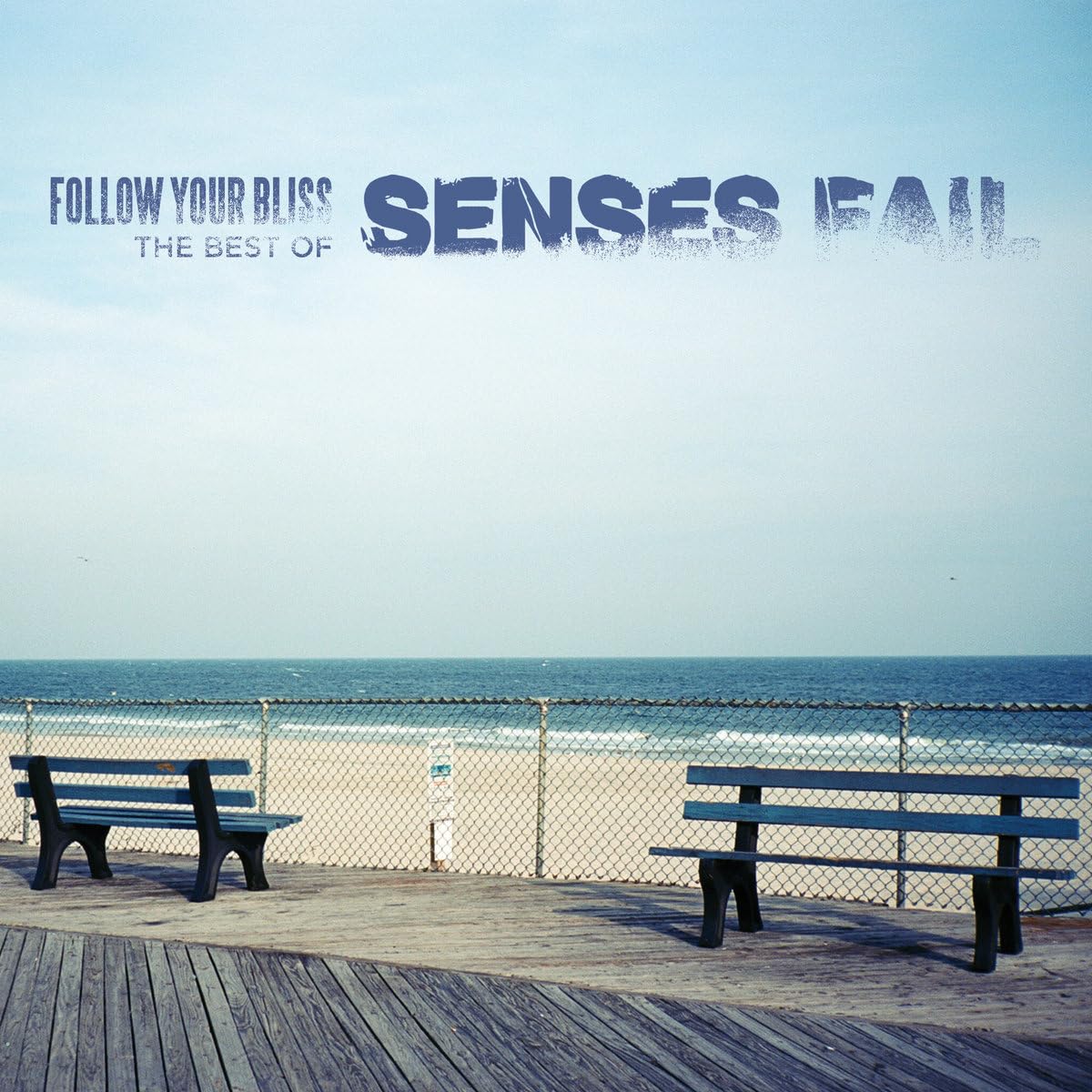 FOLLOW YOUR BLISS [VINYL]