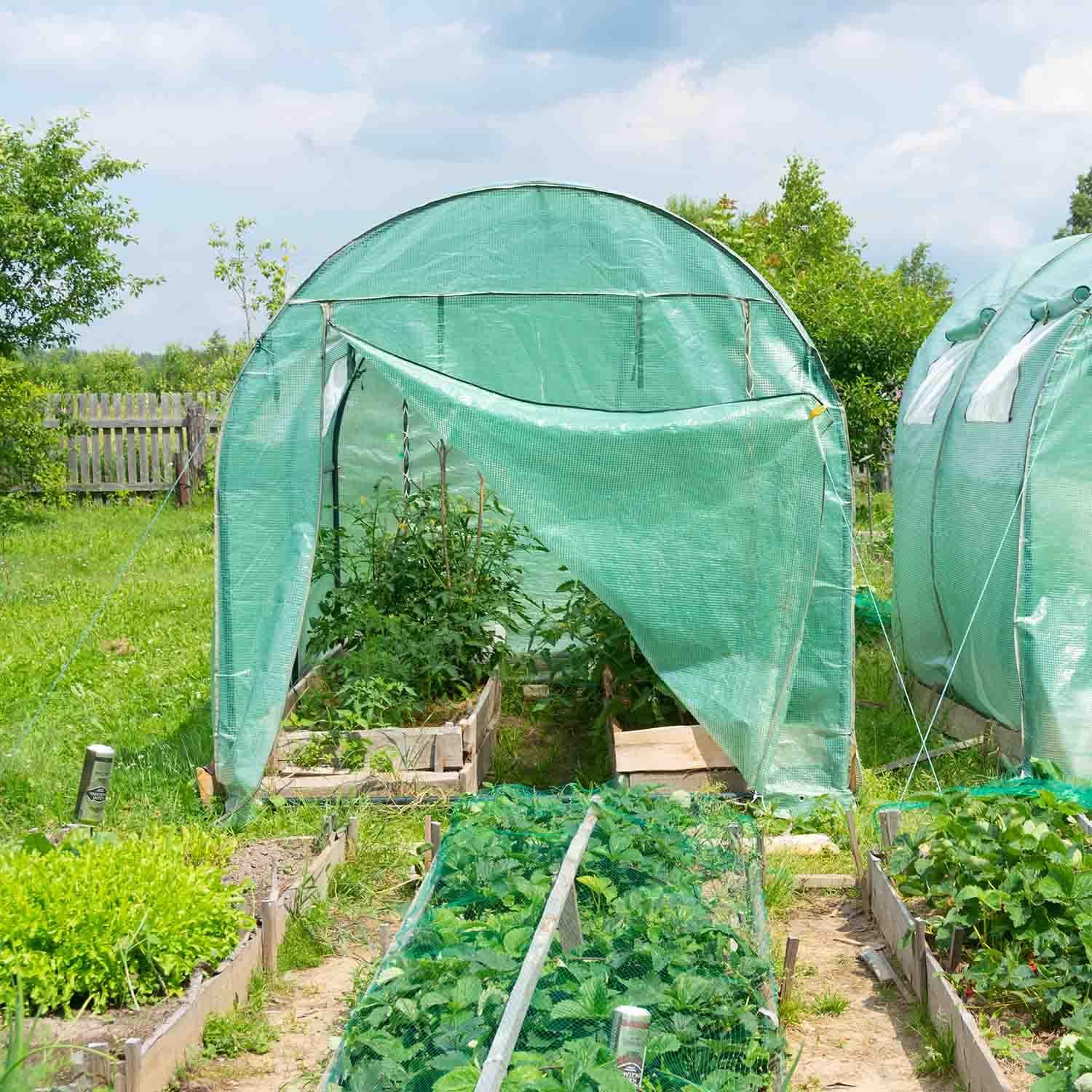 BOUDECH greenhouse in a garden setting with the roll-up door partially open.