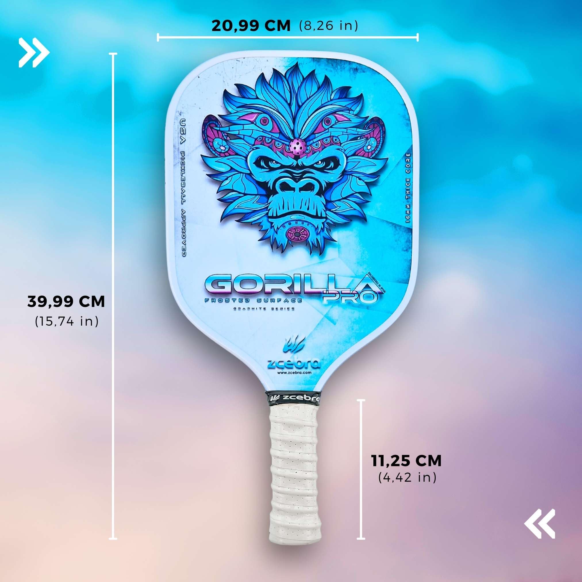 ZCEBRA Pickleball Paddle Grafito - Set custodia in neoprene