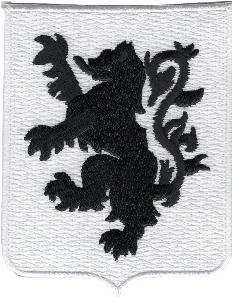 Amazon.com: 41st Infantry Regiment Patch Straight and Stalwart ...